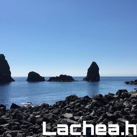 Lachea House appartamento sul mare dei Ciclopi Aci Castello Esterno foto